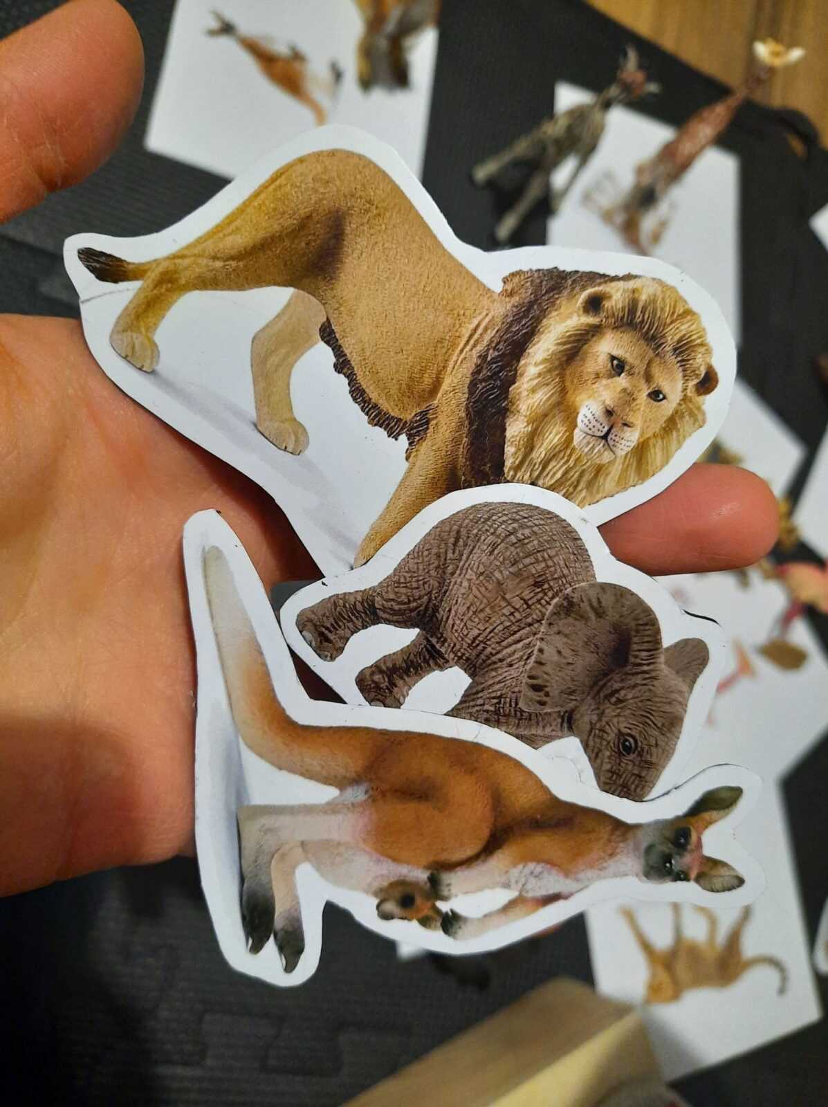 Folia samoprzylepna do magnesów ze zwierzętami Schleich 3