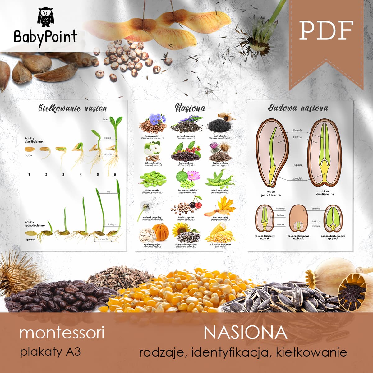 Nasiona