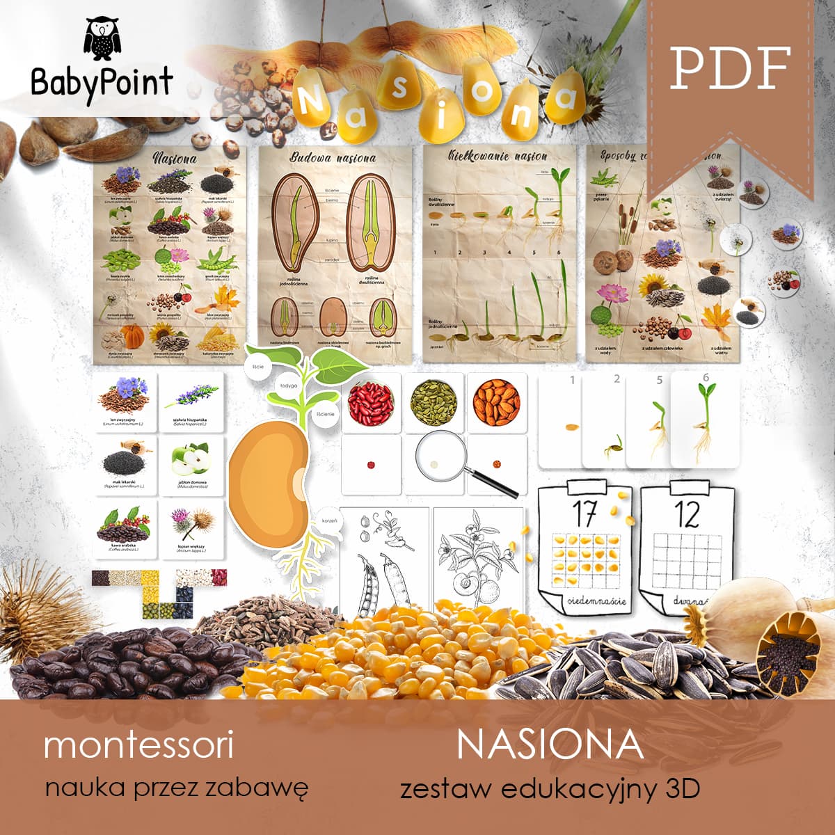Nasiona 2
