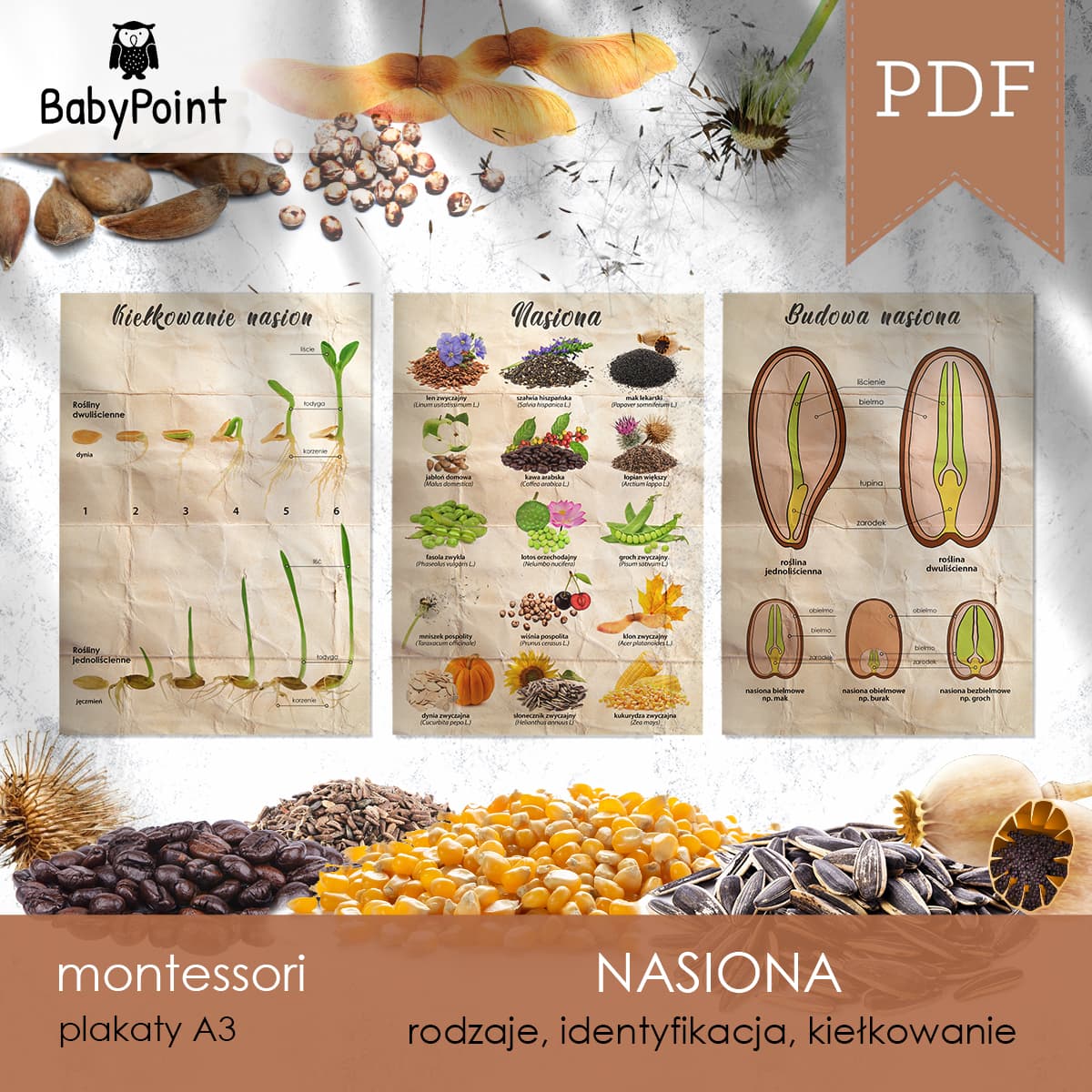 Nasiona 4