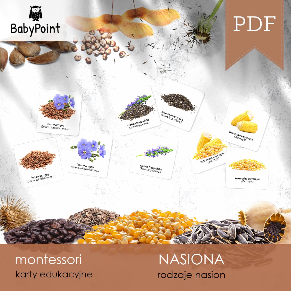 Nasiona 5