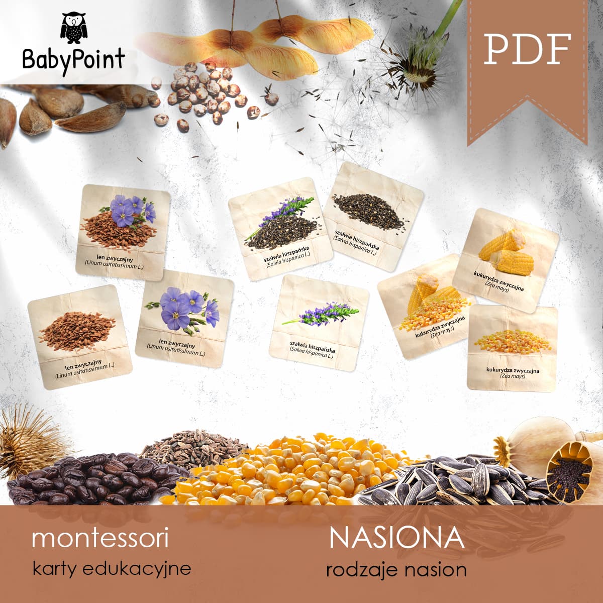 Nasiona 6