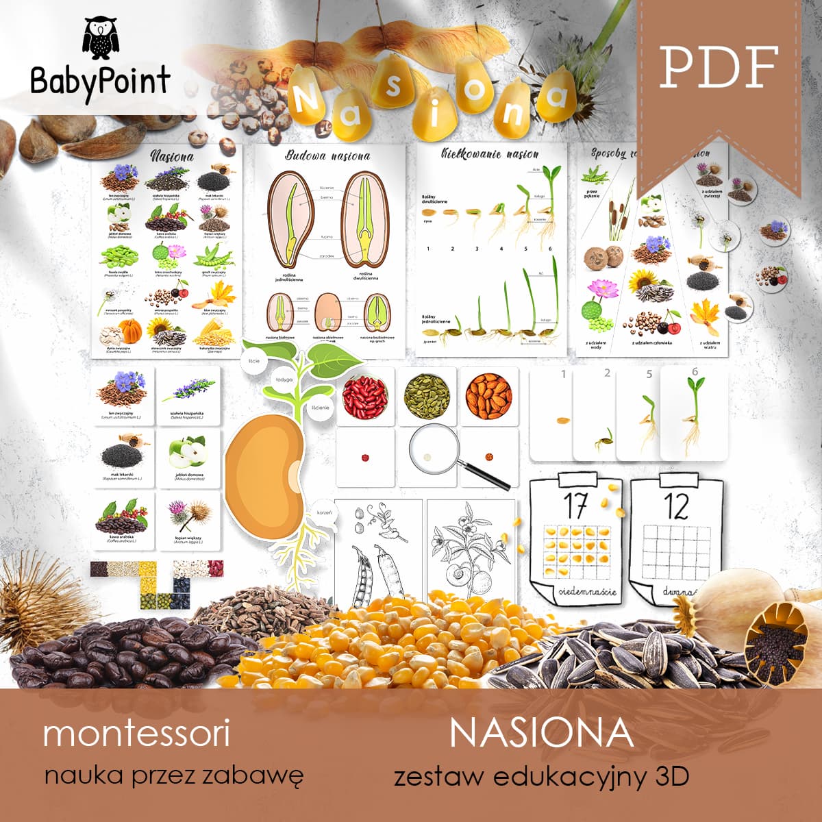 Nasiona