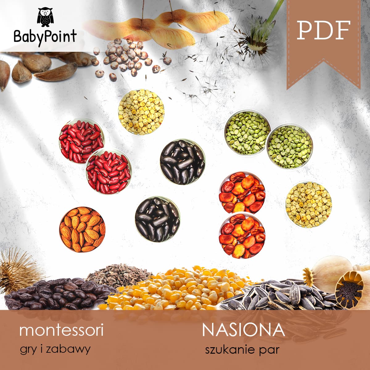 Nasiona
