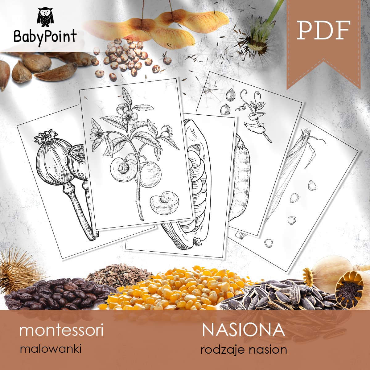 Nasiona