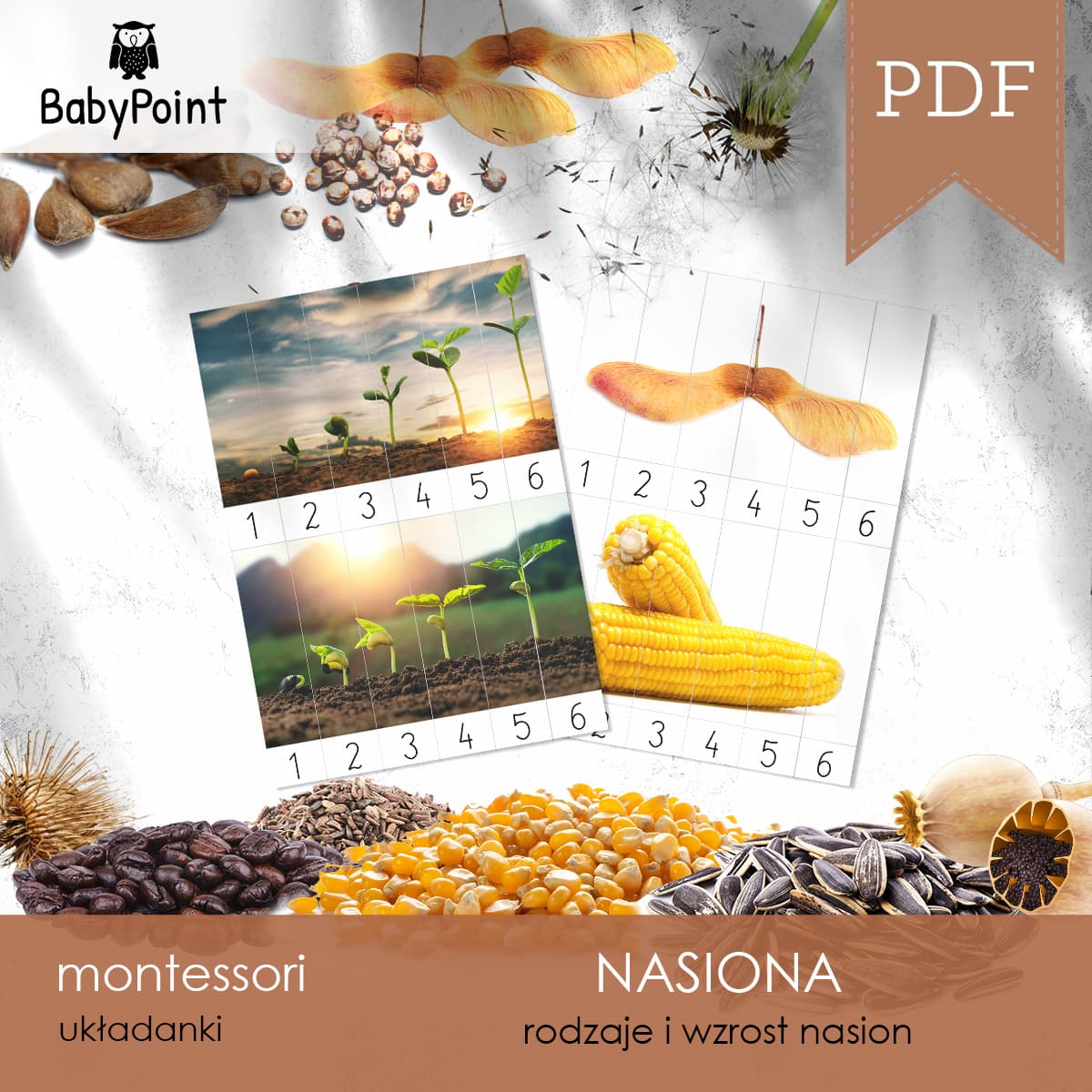 Nasiona