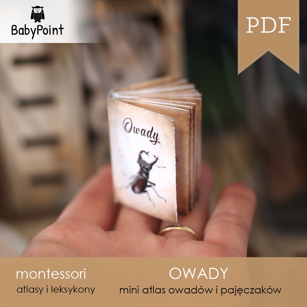 Owady 2