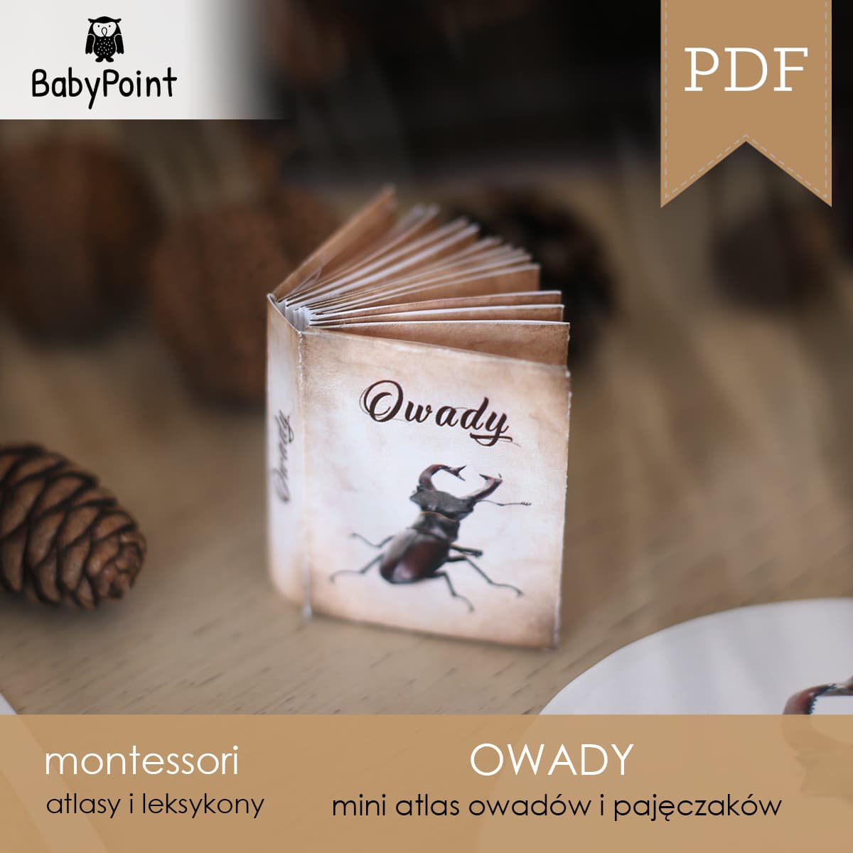 Owady