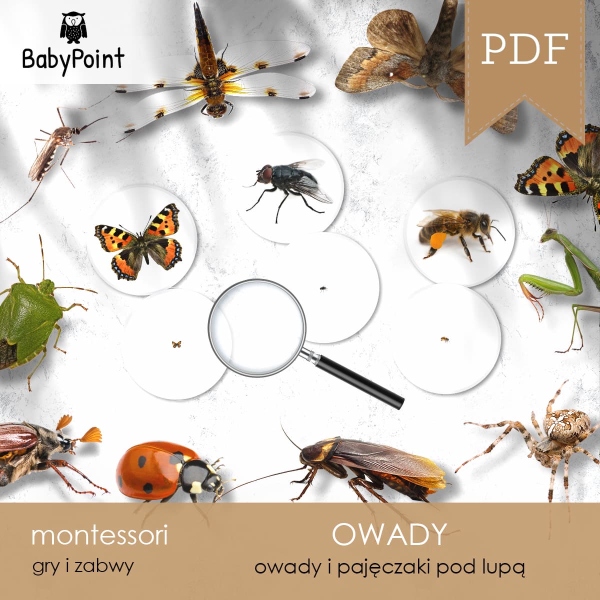 Owady pod lupą