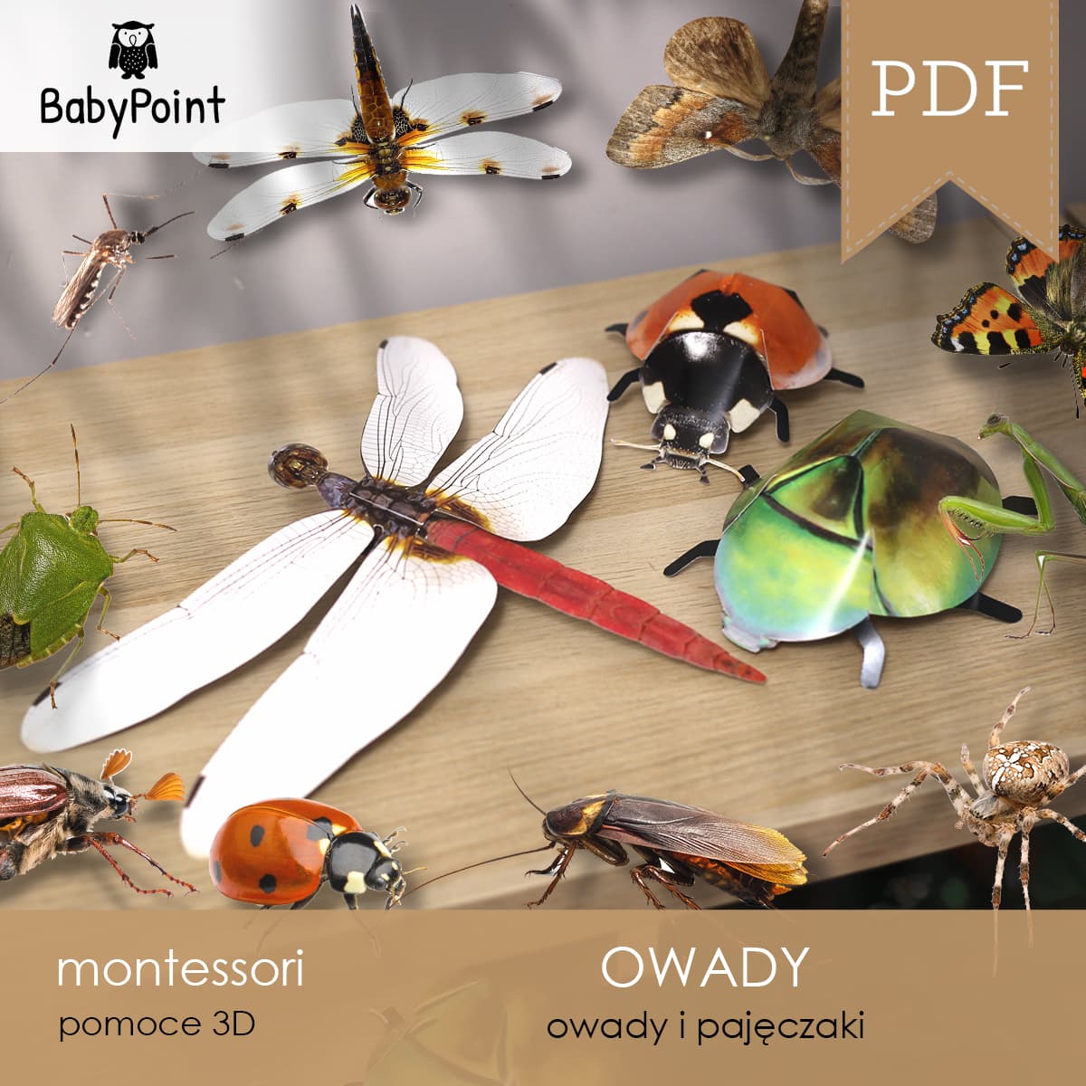 Owady 2