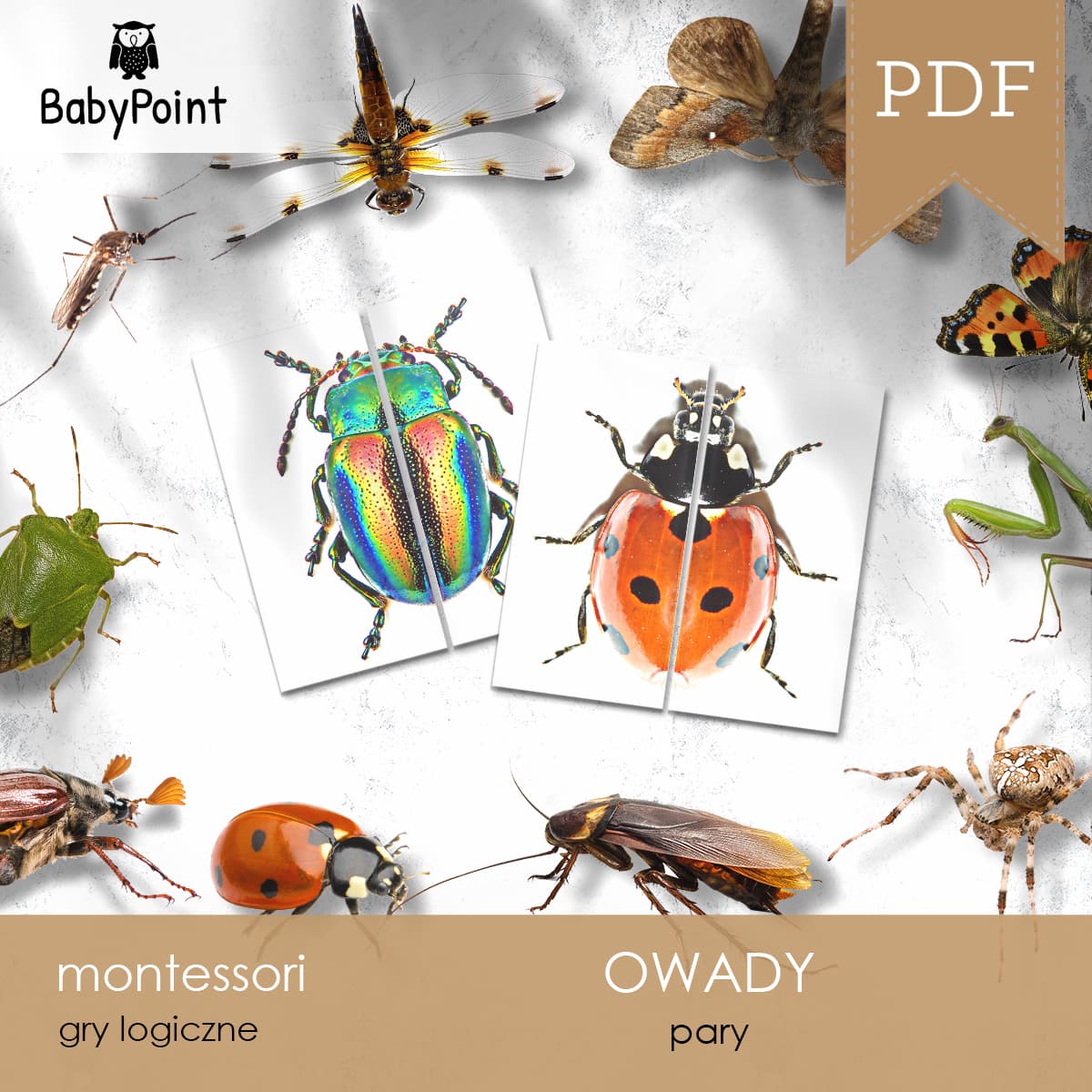 Owady 5