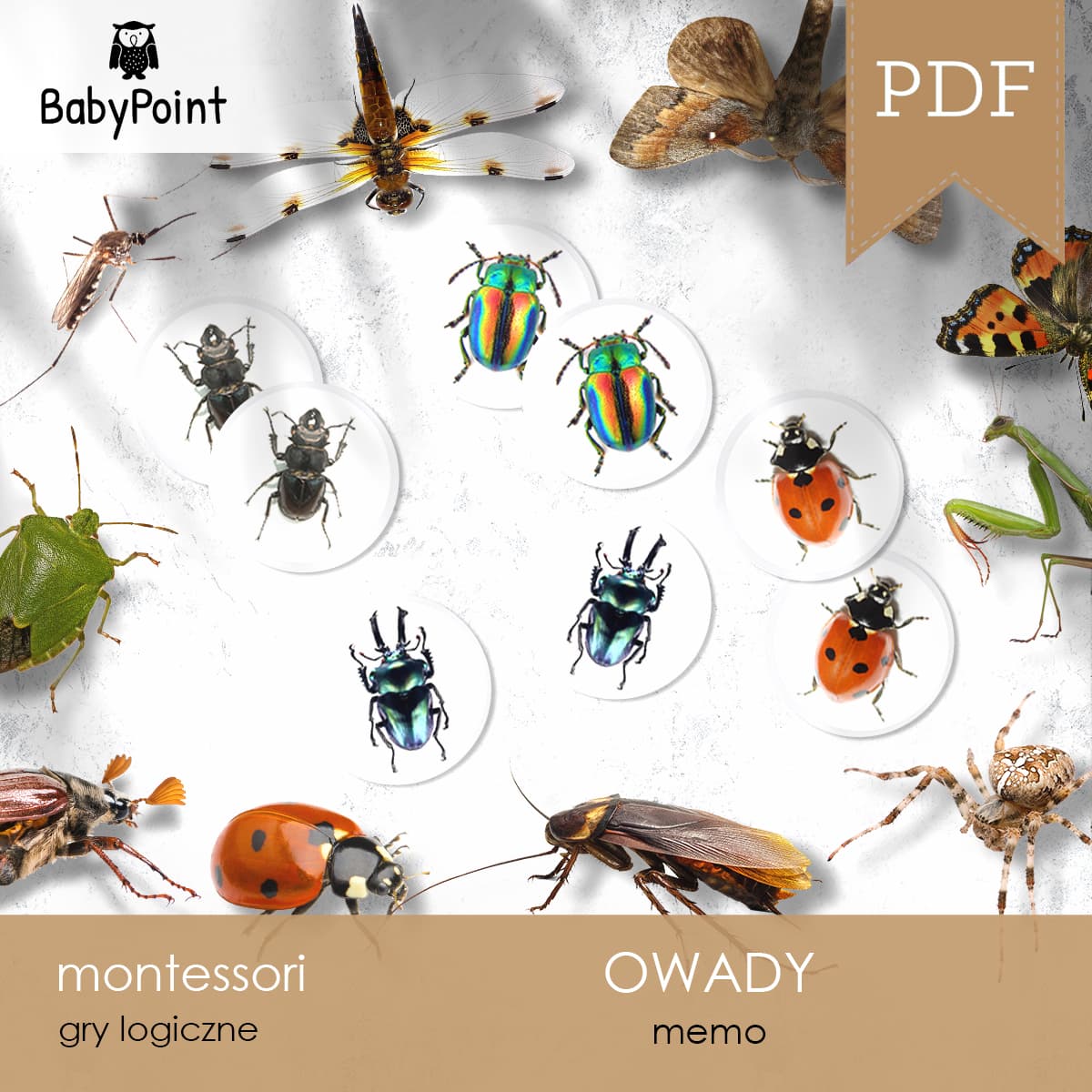 Owady 6