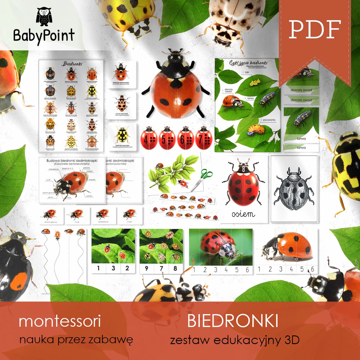 Biedronki 3