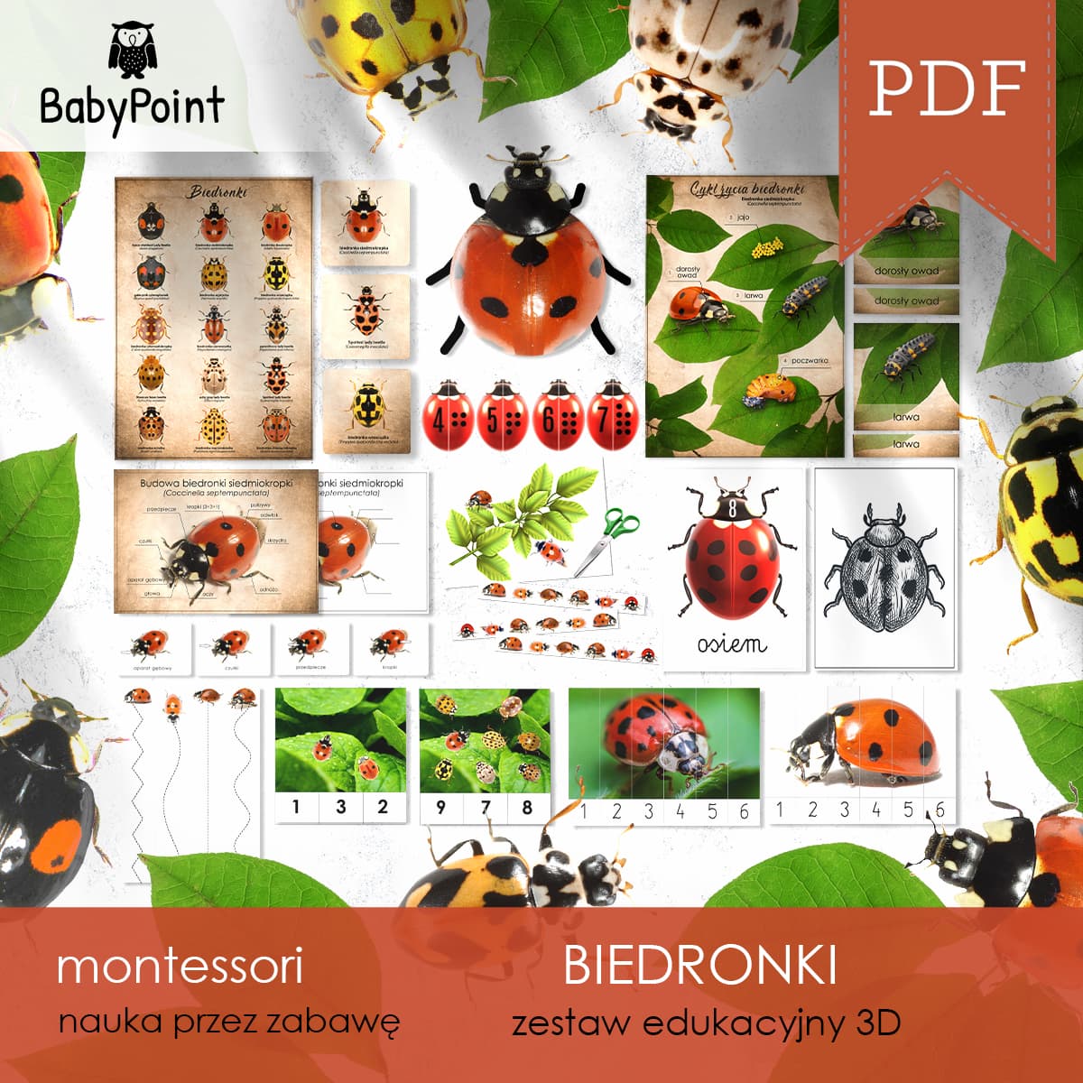 Biedronki