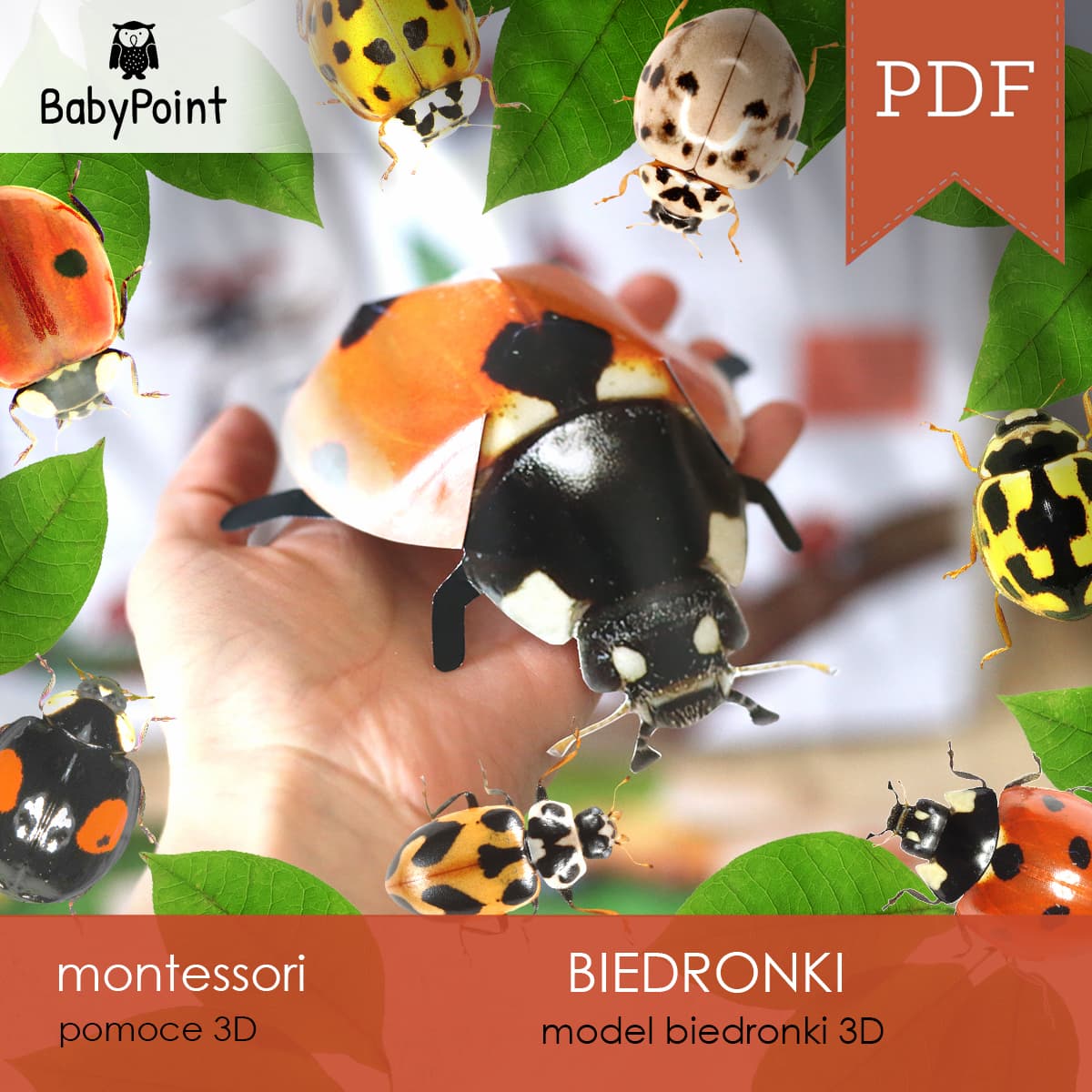 Biedronki