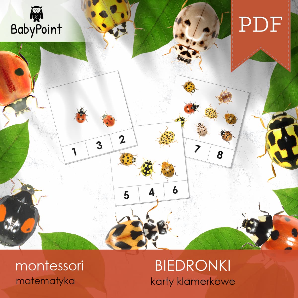 Biedronki 2