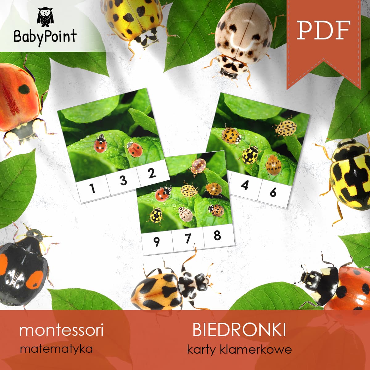 Biedronki