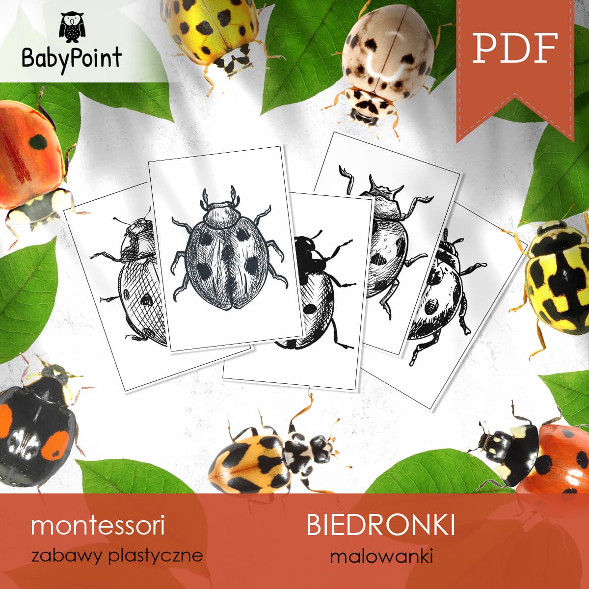 Biedronki