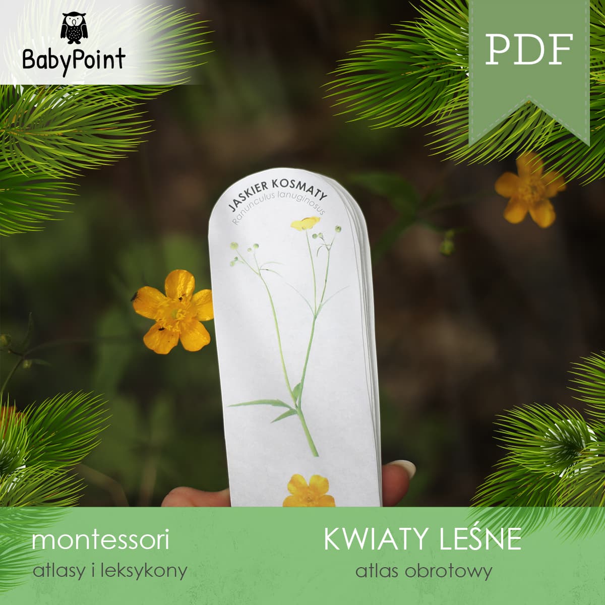 Kwiaty leśne 2