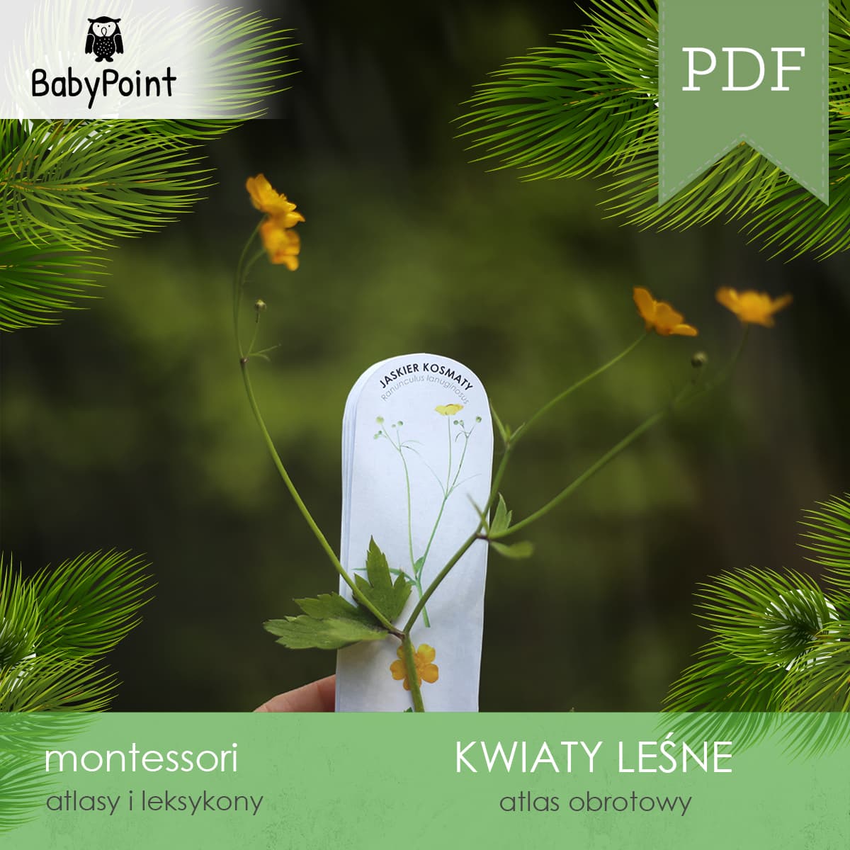 Kwiaty leśne 3