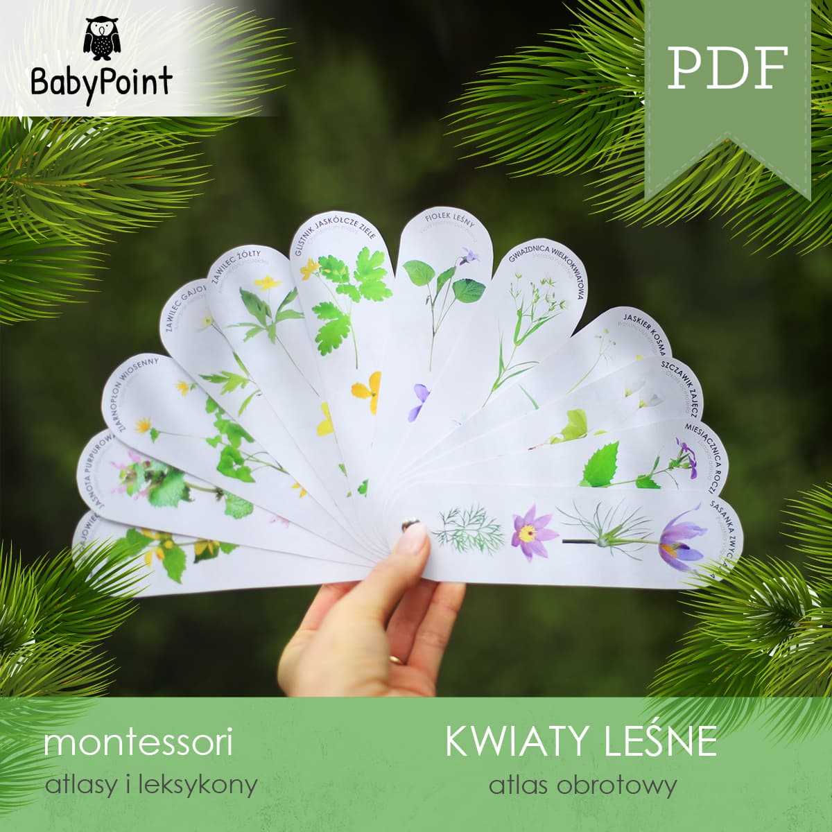 Kwiaty leśne