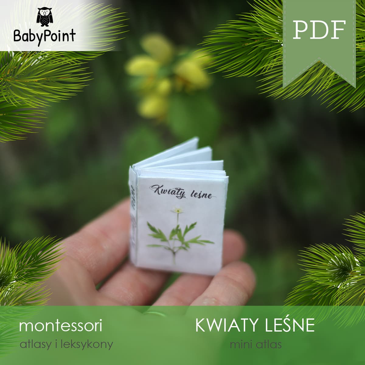 Mini atlas kwiatów leśnych 2
