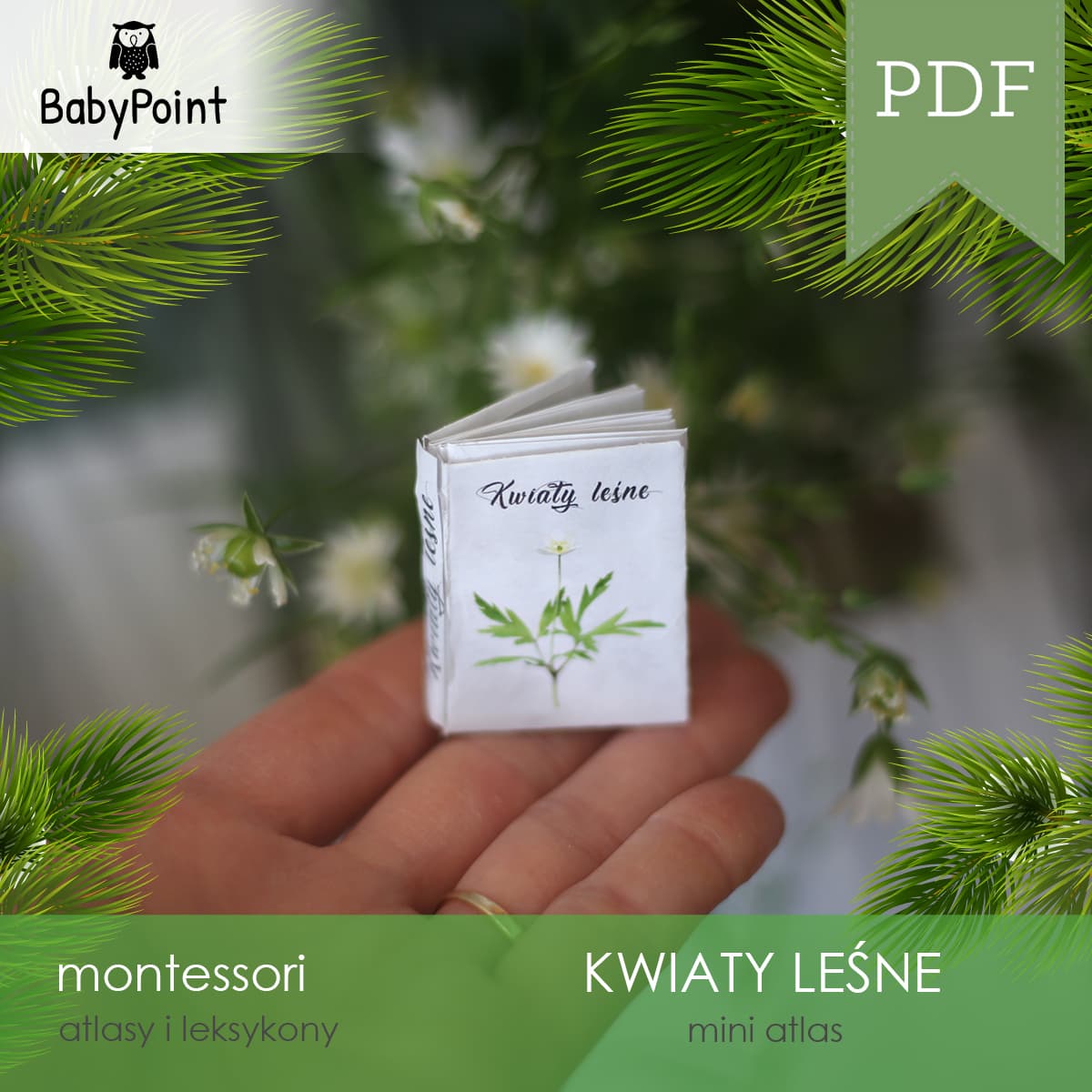 Mini atlas kwiatów leśnych 5