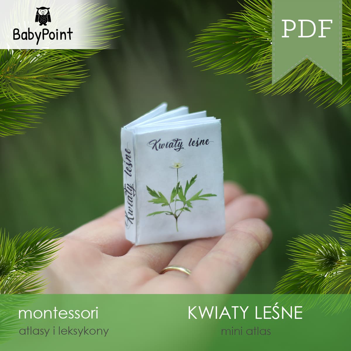Mini atlas kwiatów leśnych