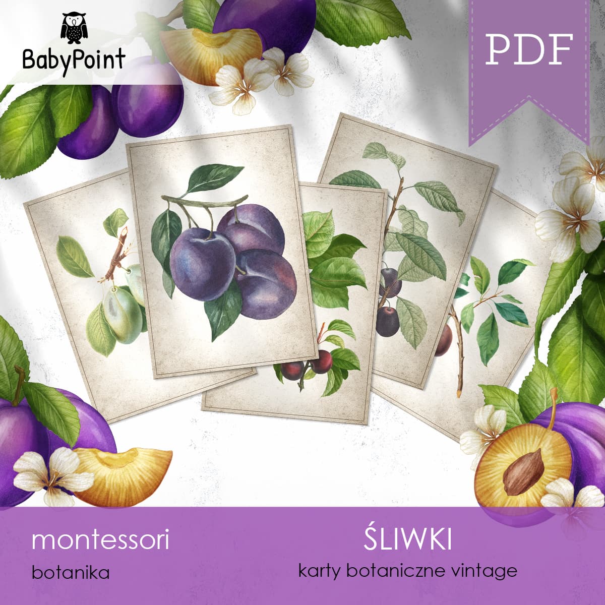Karty botaniczne śliwki vintage