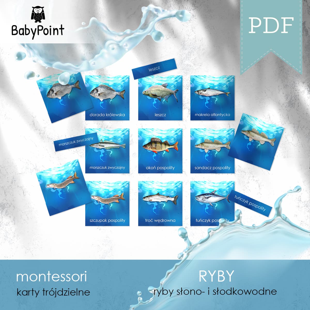 Ryby 5