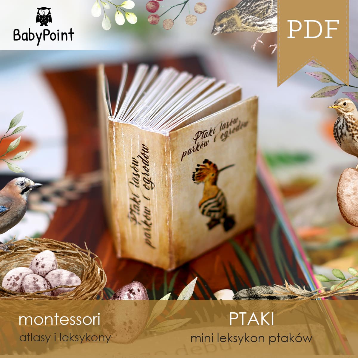 Ptaki