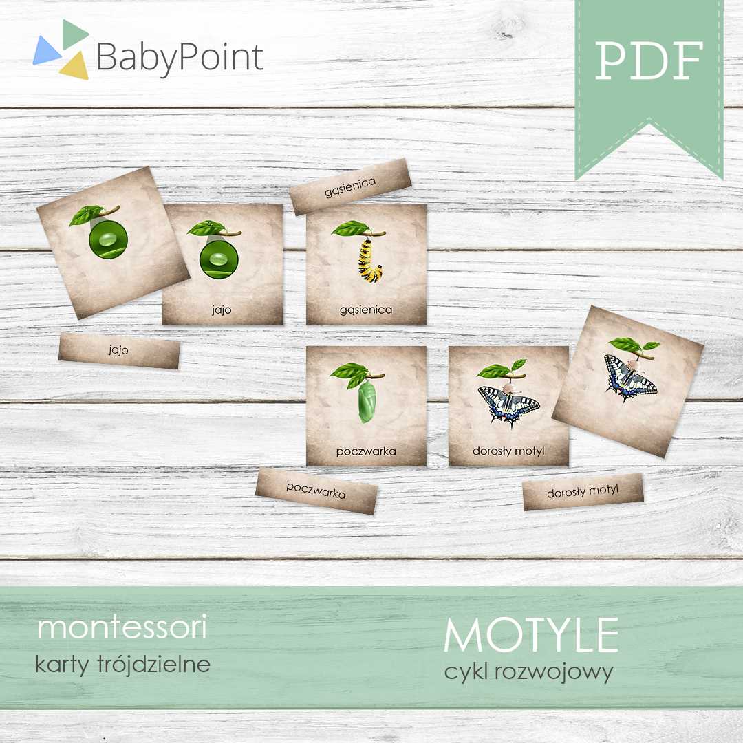 Motyle 2