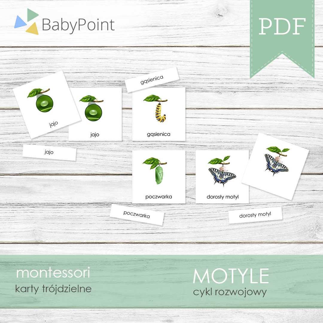 Motyle