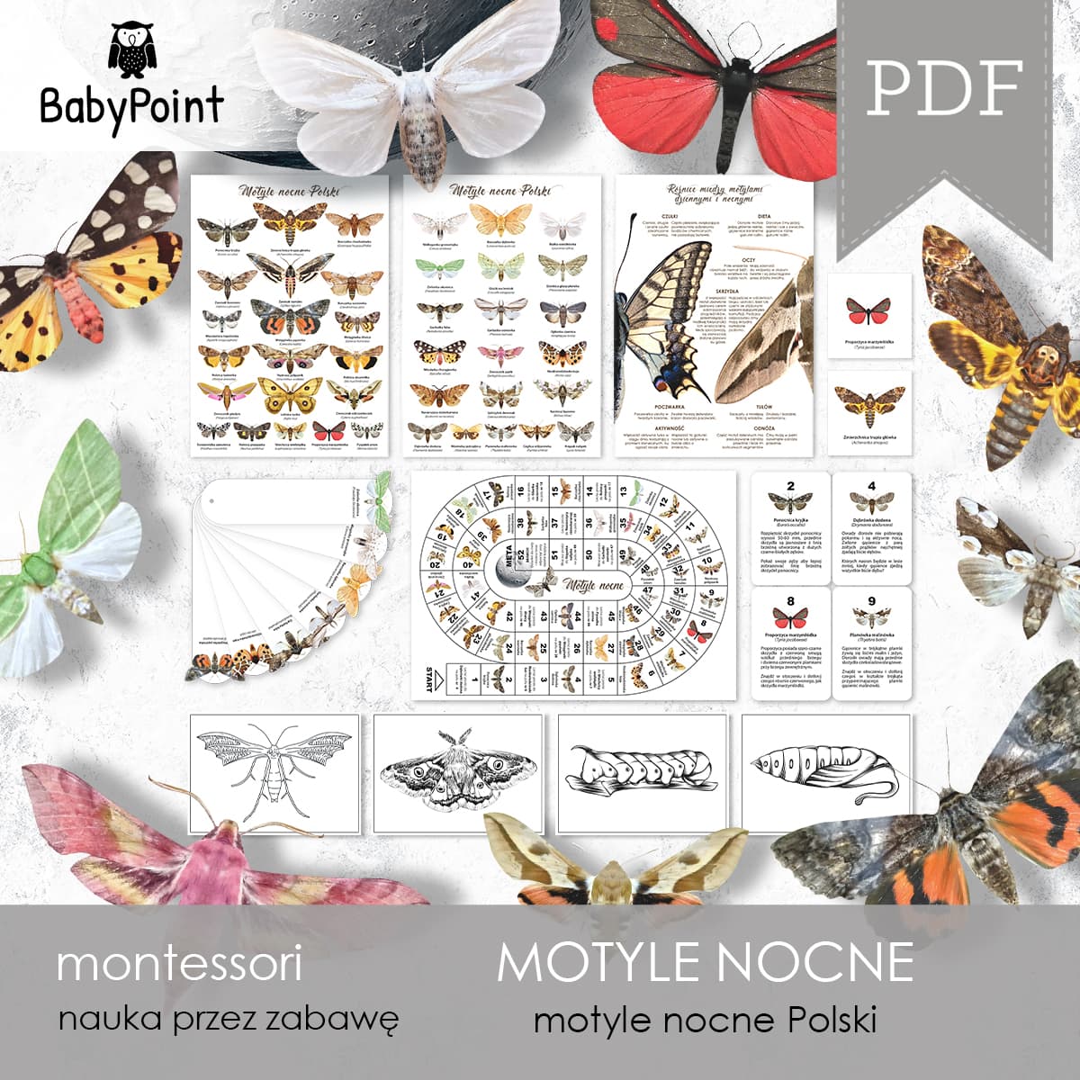 Motyle nocne 2