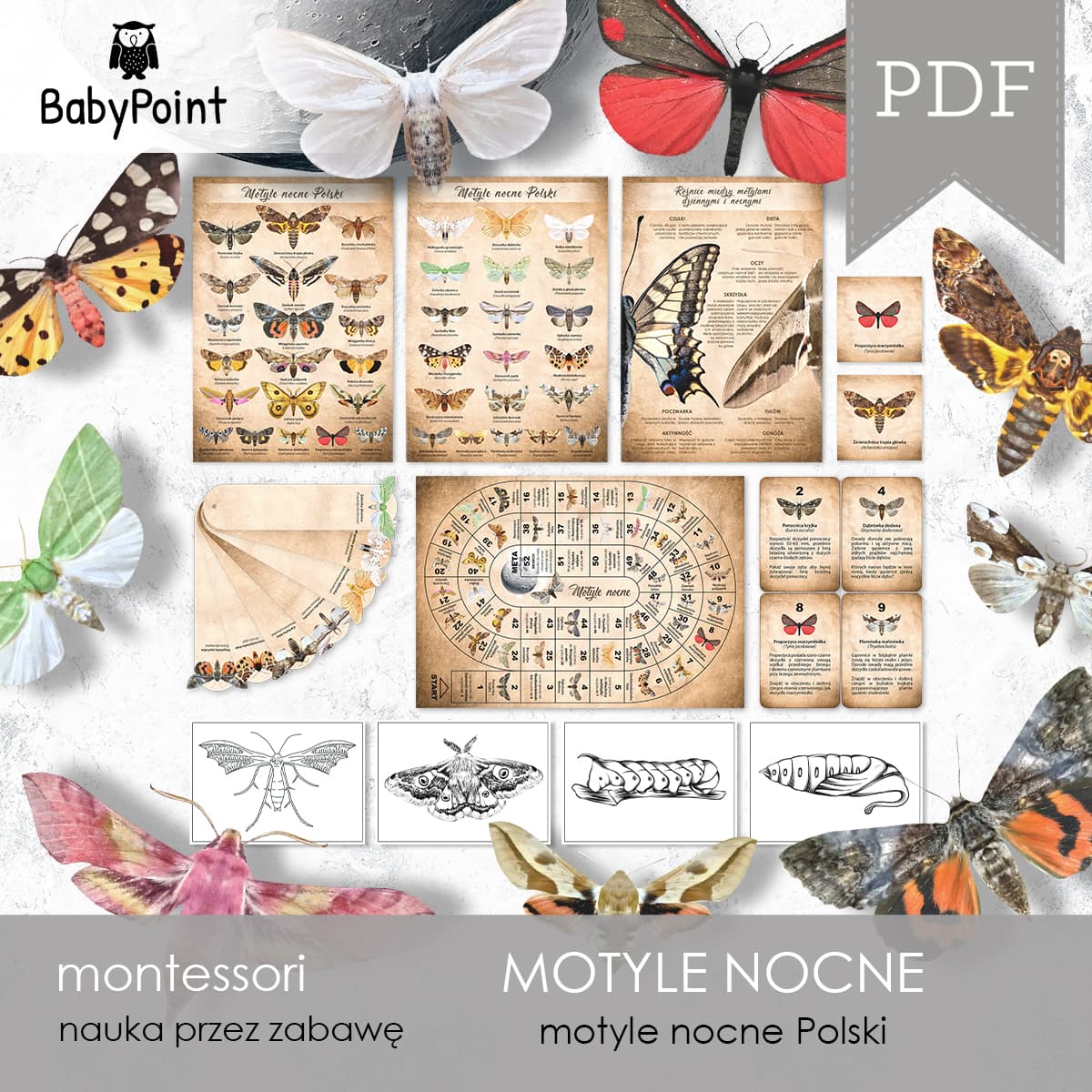 Motyle nocne