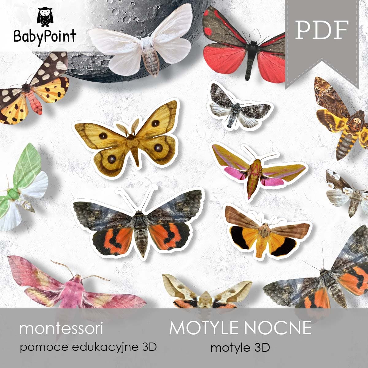 Motyle nocne 3