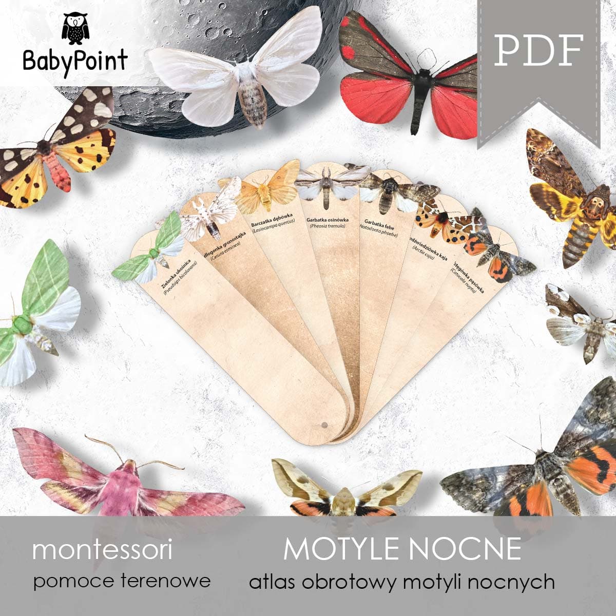 Motyle nocne