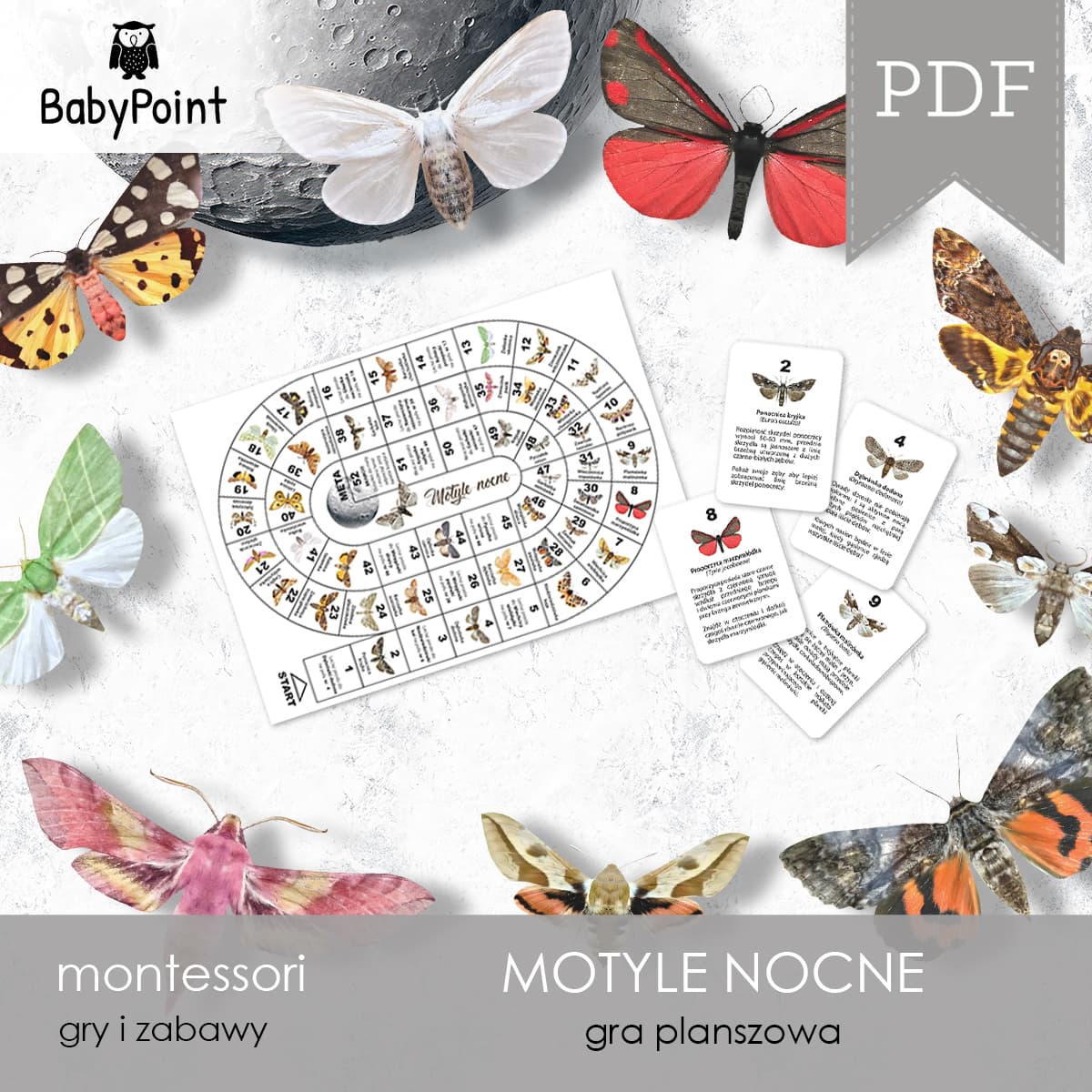 Motyle nocne 2