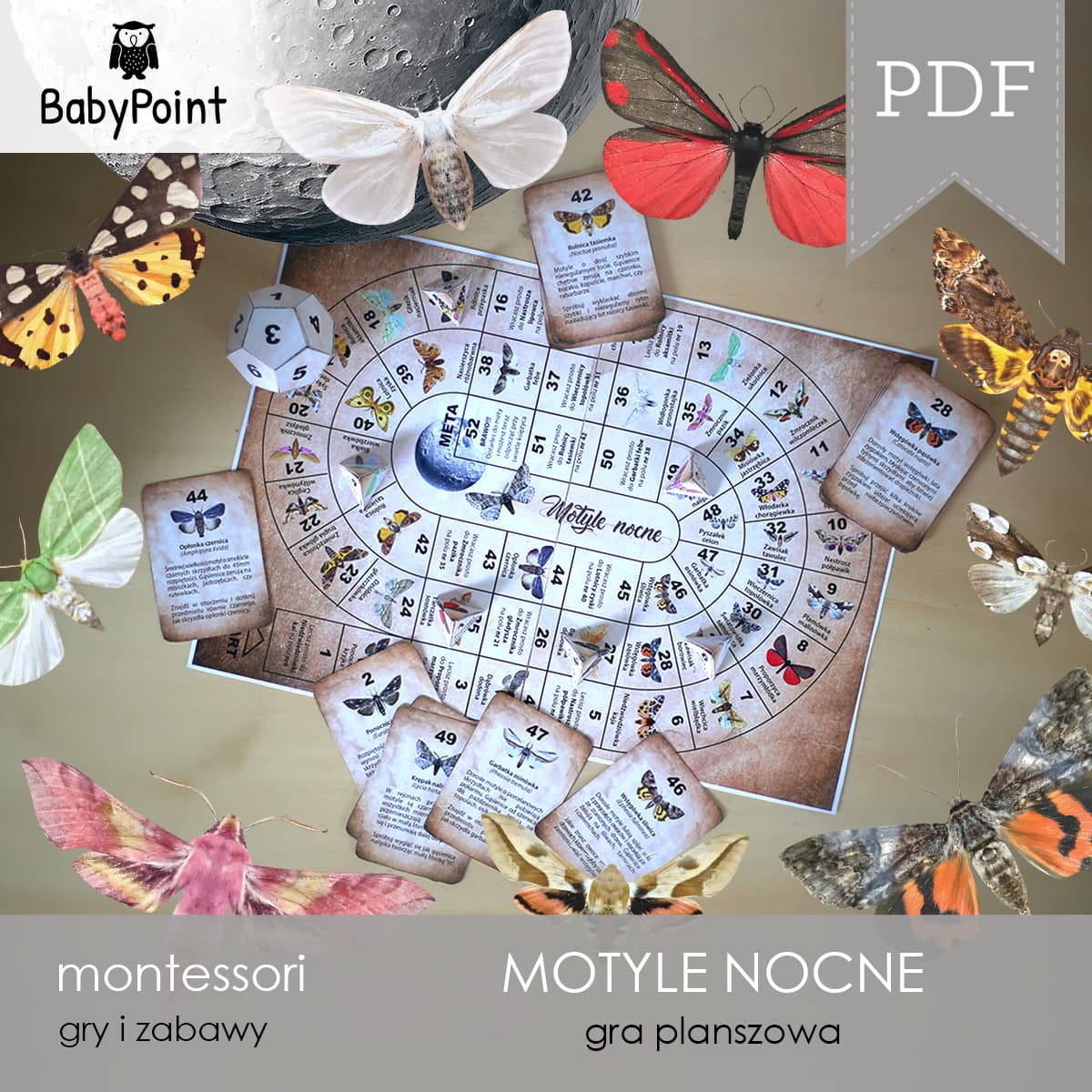 Motyle nocne 3