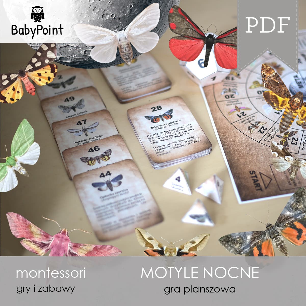 Motyle nocne 4