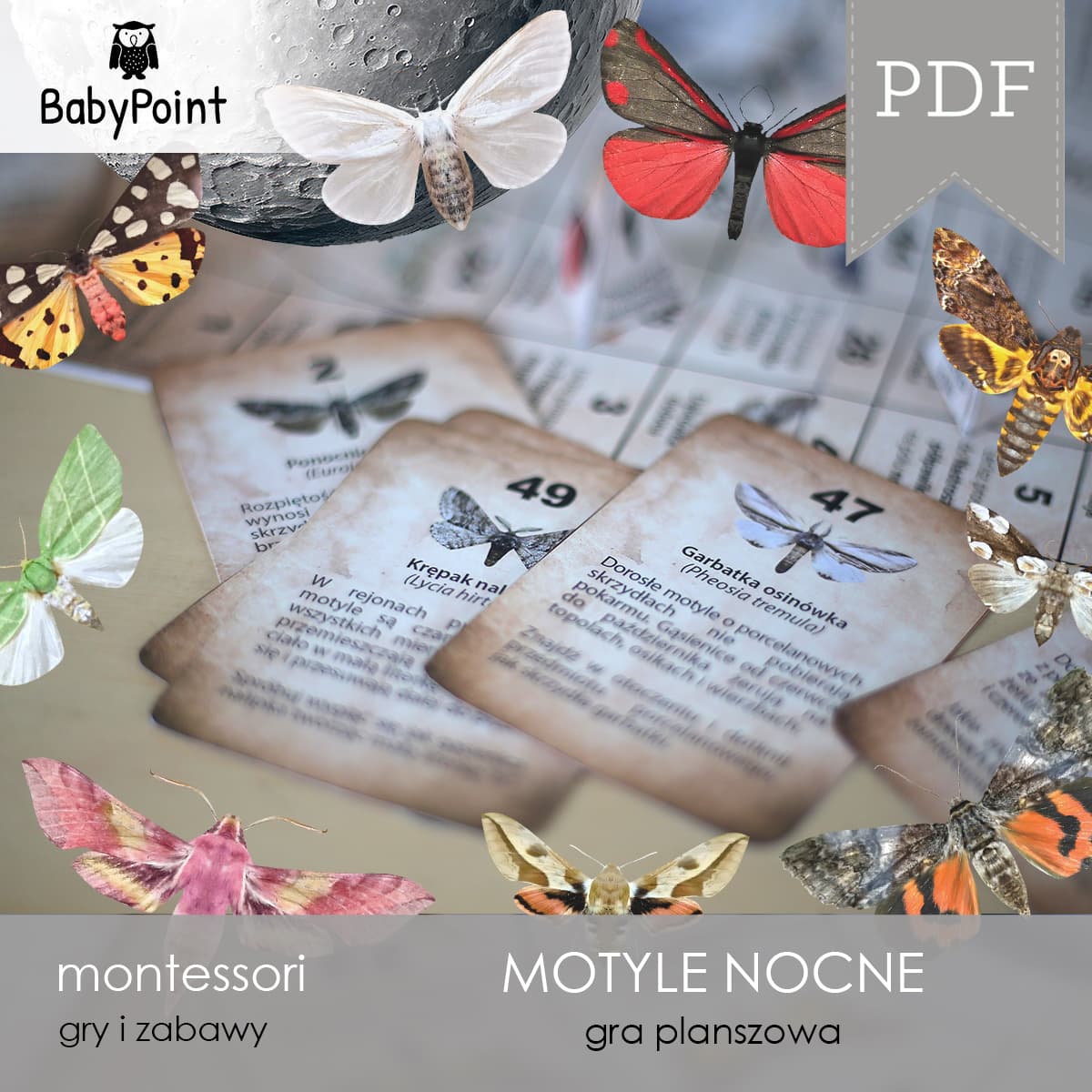 Motyle nocne 5