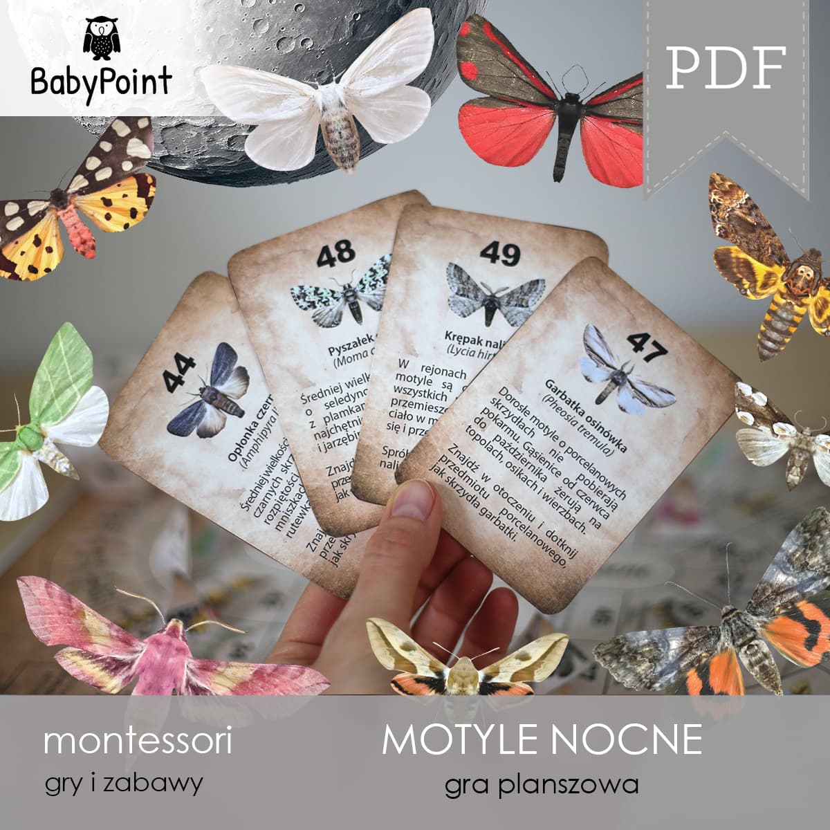 Motyle nocne 6