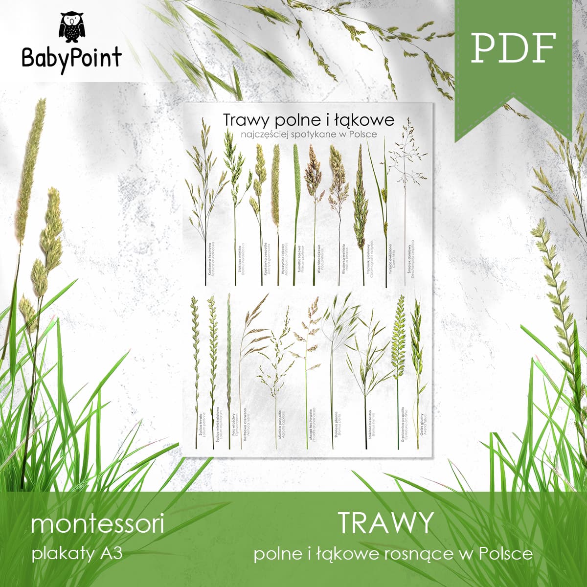 Trawy 2