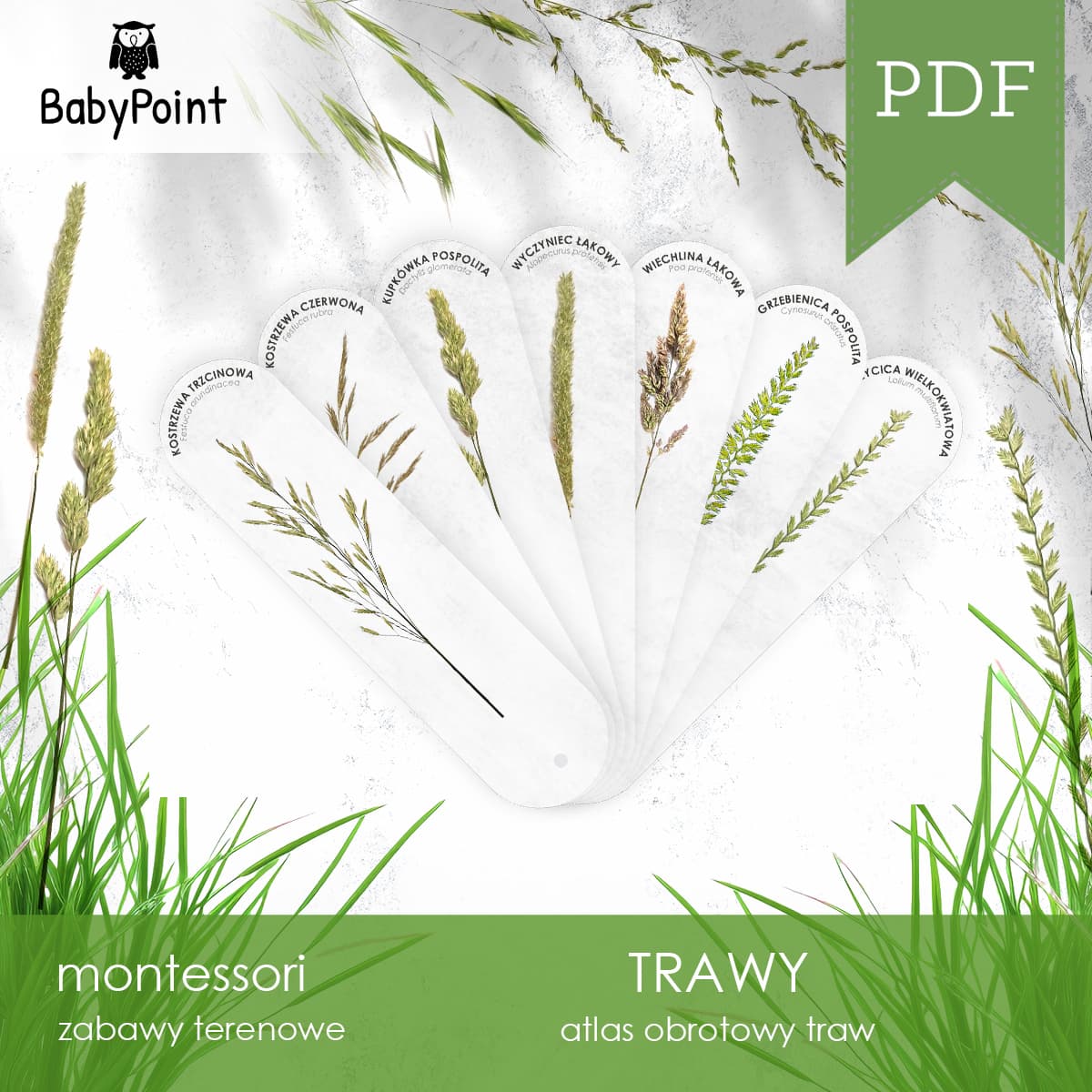 Trawy 3