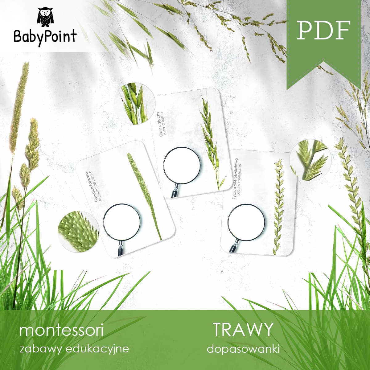 Trawy 5