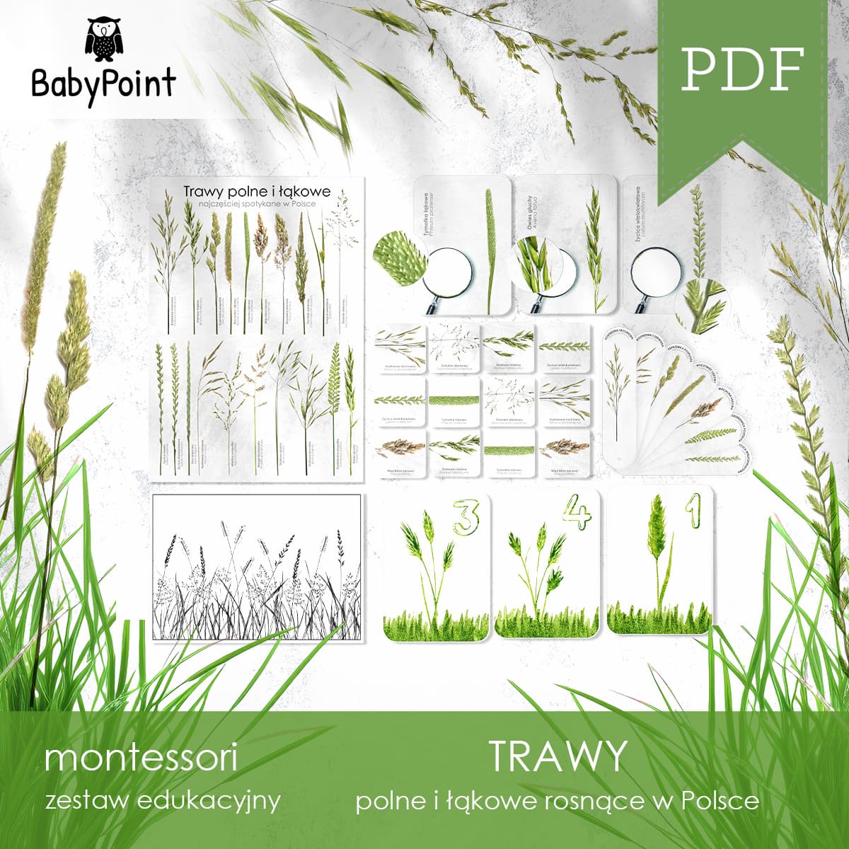 Trawy