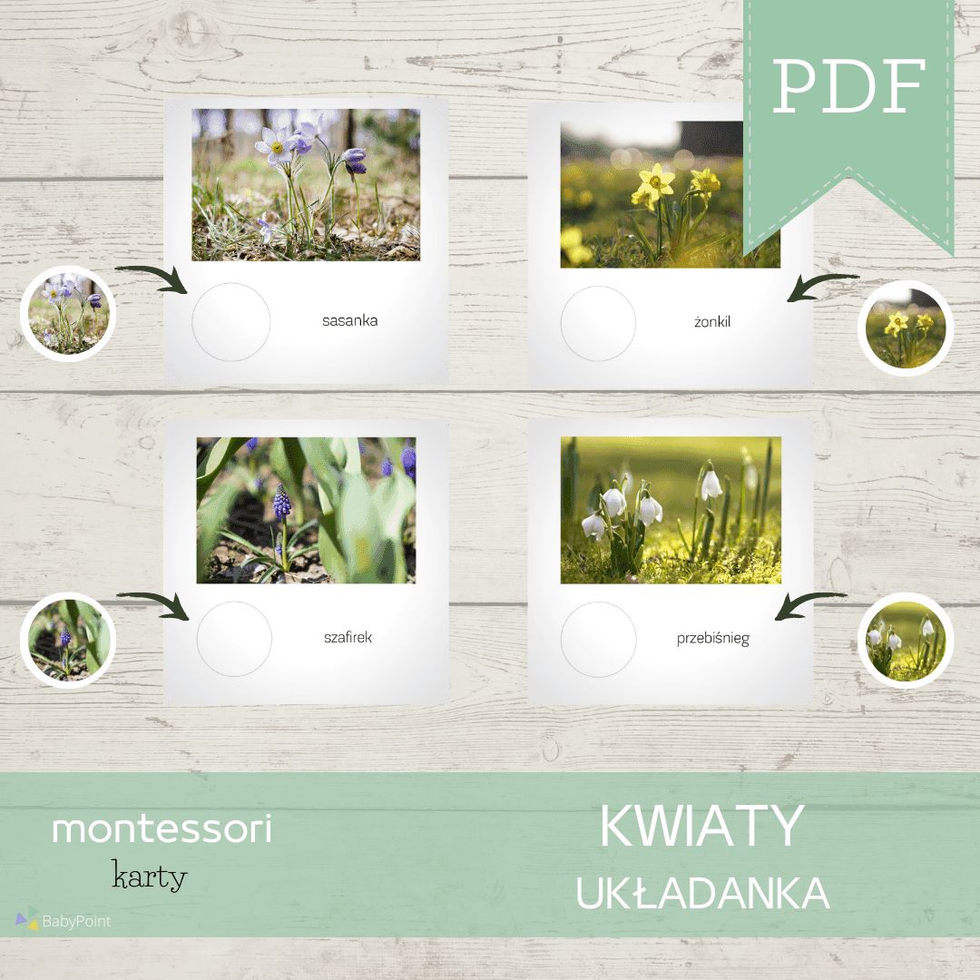 Kwiaty wiosenne 4