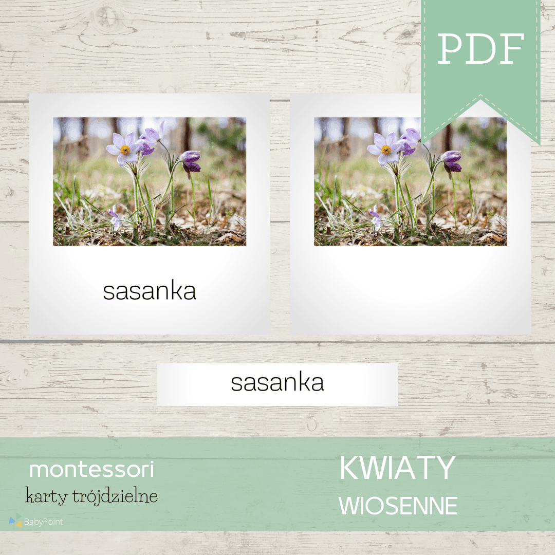 Kwiaty wiosenne 5