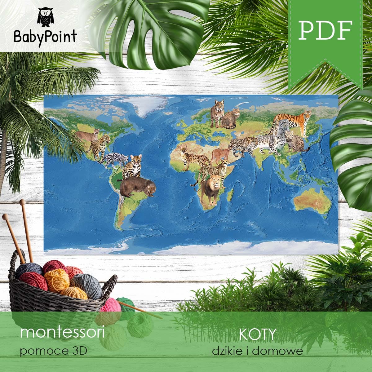 KOTY - Mapa występowania dzikich kotów
