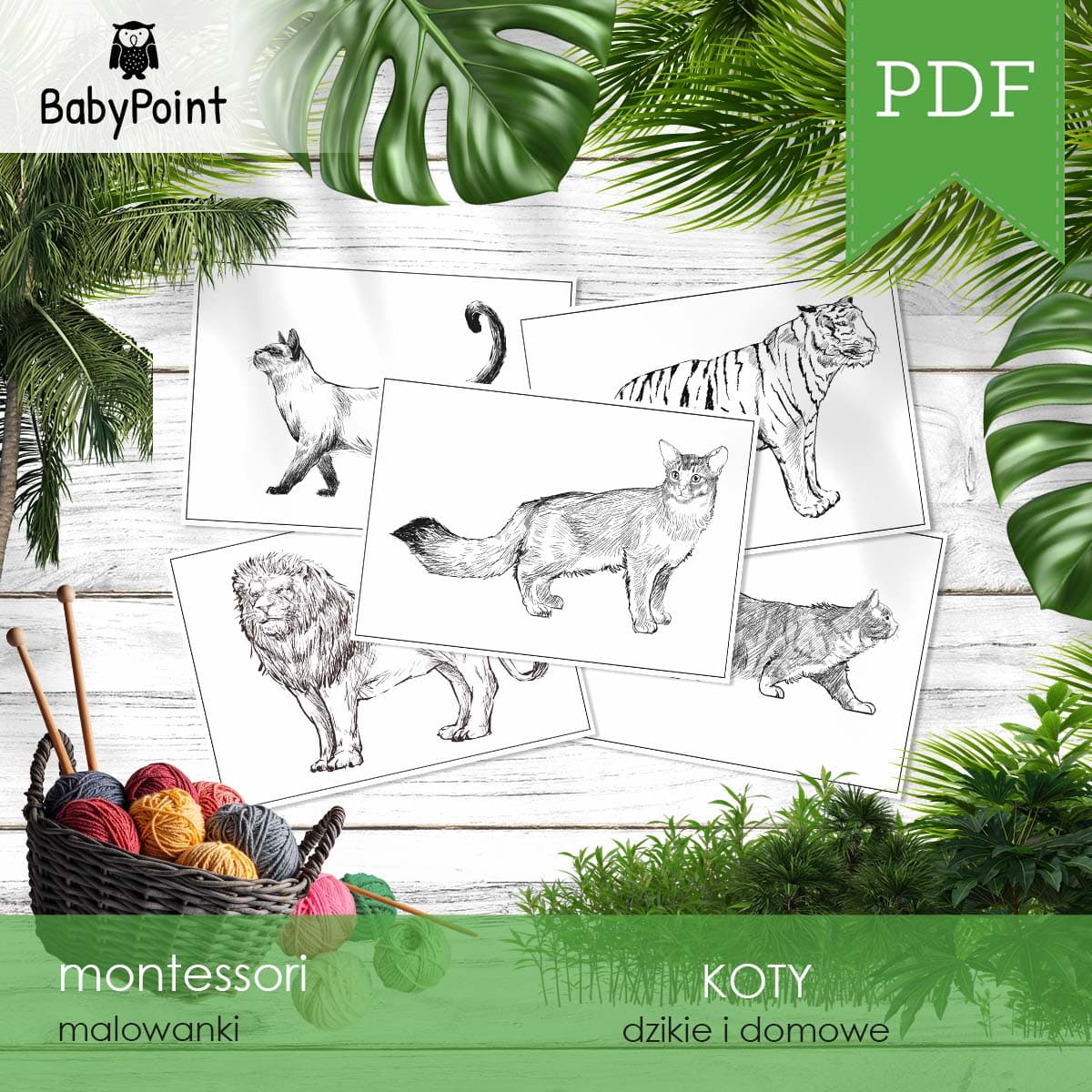 KOTY - Malowanki